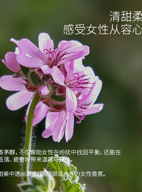 花寂（美妆）玫瑰天竺葵单方精油温暖玫瑰香天然植物香薰扩香5ml