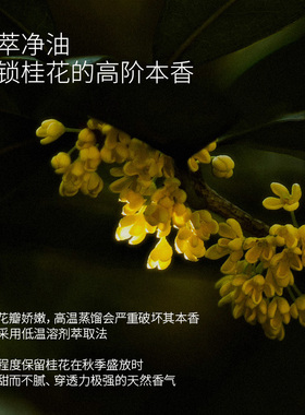 花寂（美妆）桂花单方精油植物精油香薰家用放松心情舒缓精油5ml