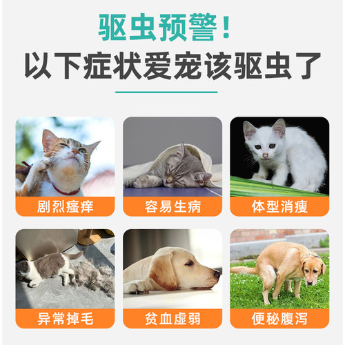 猫咪驱虫药狗狗体内外驱虫跳蚤顽宠爱非泼罗尼滴剂猫驱虫芬苯达唑 - 图0