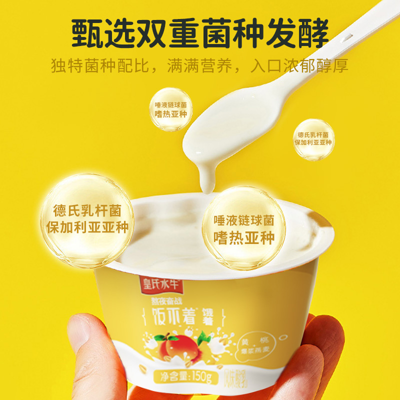 皇氏水牛饭不着风味酸奶150g*10杯水牛奶配方儿童燕麦低温酸奶