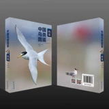 [Подлинное место] Китайская Bird Picture Book (Gull Edition) собирает все виды птиц китайского семейства диких чайков и семейства Skua. Персонал подсемейной подсемейной птиц Ассоциации подсемейства. Под редакцией Чжана Лин и Чэнь Сюэюн. Книжный магазин пролива