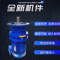 Planetary cycloidal needle wheel reducer vertical horizontal small pendulum needle stirring reducer national standard pure copper three-phase motor