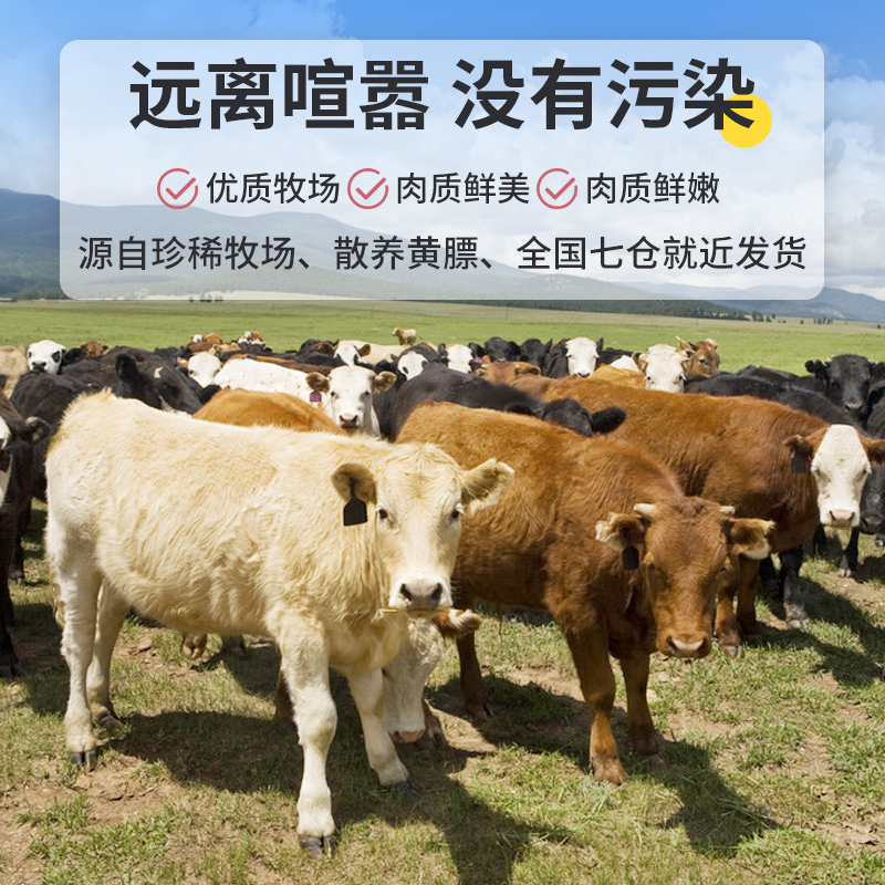 牛肉新鲜牛腱子牛腩牛后腿肉牛肉套餐10斤整切牛肉生鲜年货