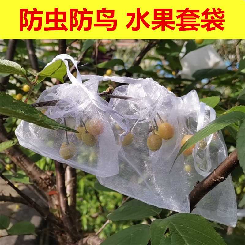 水果套袋果实网袋火龙果番茄番石榴葡萄无花果草莓防虫防鸟保护袋