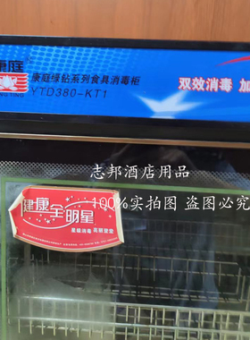 康庭消毒柜主板控制板配件