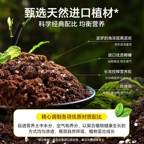 向日葵专用土阳台盆栽葵花有机营养土向阳花种植土壤转日莲泥炭土 - 图0
