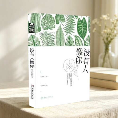 绿亦歌作品集全7册】岁月忽已暮+岁月有神偷+没有人像你+致岁月迢迢+系我一生心+爱你时有风+也曾与全世界为敌 绿亦歌著 - 图3