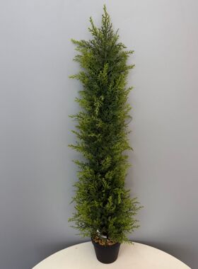 仿真松柏树侧柏大型绿植盆栽小香松树崖松圣诞植物装饰真假造景树