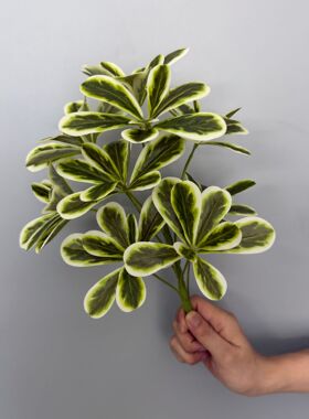 仿真植物墙背景墙配件 丝印网纹鸡心万年青把束插花 软装造景绿植