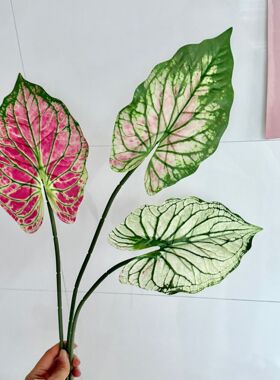 海芋叶仿真植物3D打印粉绿色海芋叶家居餐桌装饰插花造景假花配材