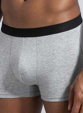 6pcs/Lot Cotton Male Panties Men's Underwear Boxers Breathab