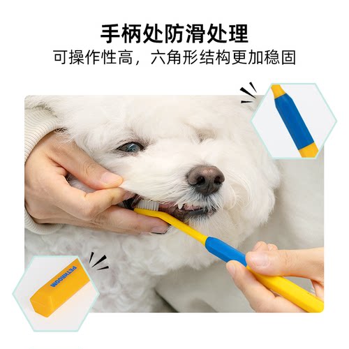 PETHROOM宠物牙刷猫咪狗狗牙刷牙膏套装小型犬清洁刷牙结石可食用 - 图1