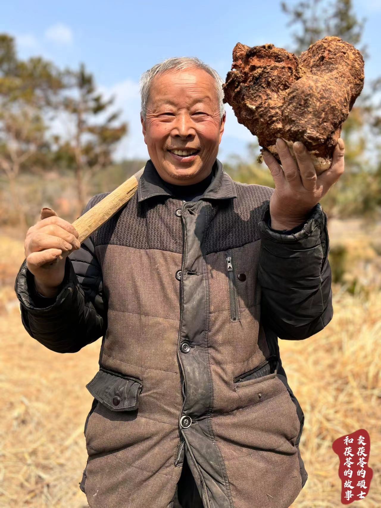 无硫茯苓粉特级学生党去湿气健脾胃四神粉中药材优质无添加500g - 图1