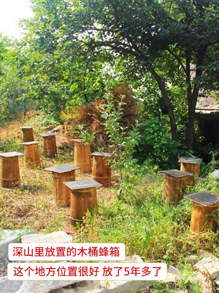  万代御膳蜂蜜