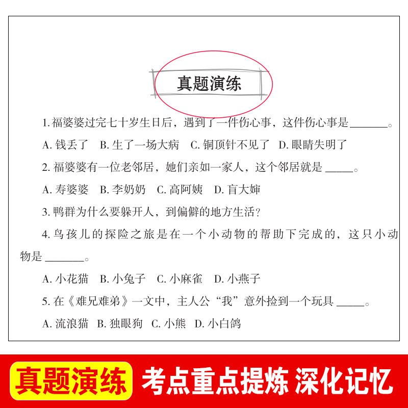 鸟孩儿 葛翠琳著必读正版 小学生三四五六年级上册下册课外书小学语文经典书目老师儿童文学阅读书籍文学名著 - 图0