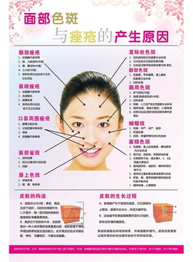 皮肤病理解剖图海报展板皮肤结构图黑色素的产生与通道墙贴墙纸