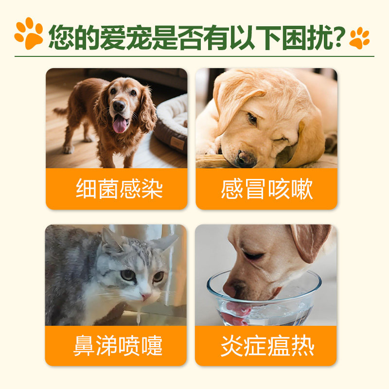 领柒盐酸多西环素片犬猫感冒打喷嚏鼻支肺炎哮喘流鼻涕专用犬窝咳,淘宝优惠券,粉丝福利购,淘宝优惠卷