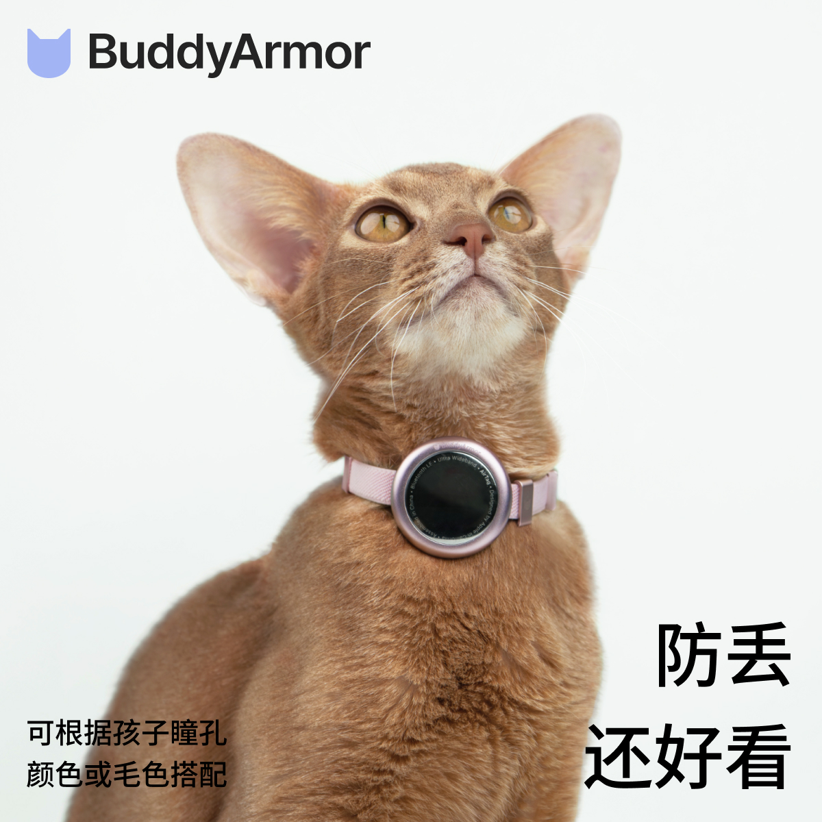 BuddyArmor AirTag保护套宠物追踪狗狗防丢猫咪可刻字全包保护套 - 图3