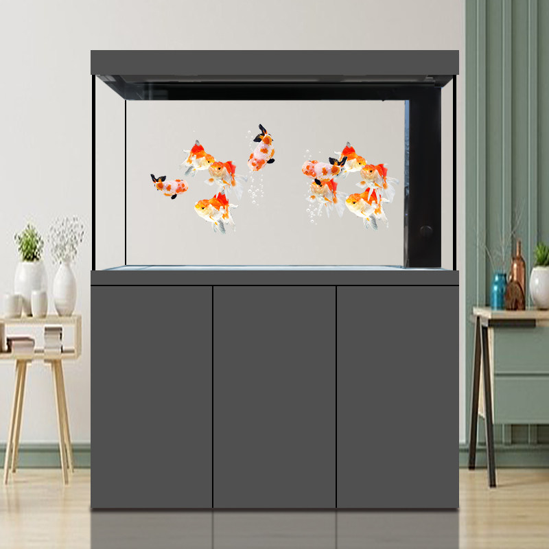 迪顺水族鱼缸客厅大型底滤超白免换水水族箱落地家用2025年新款,淘宝优惠券,粉丝福利购,淘宝优惠卷