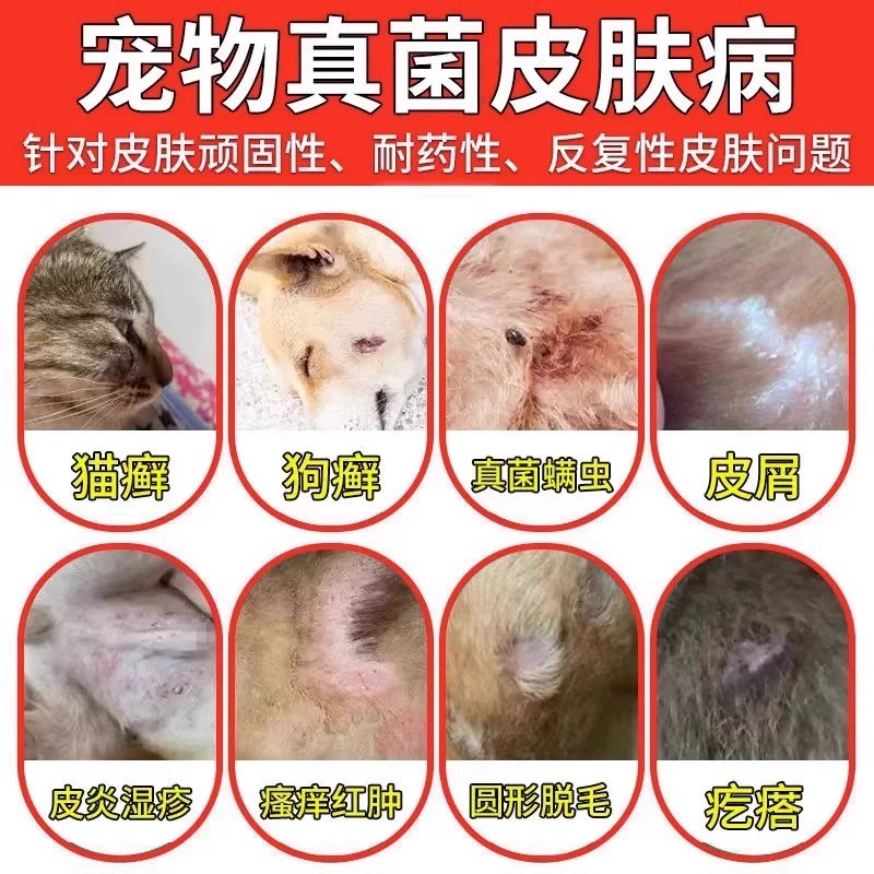 狗狗皮肤病外用药喷剂治疗狗癣真菌感染狗癣狗藓猫癣宠物皮肤专用-图0