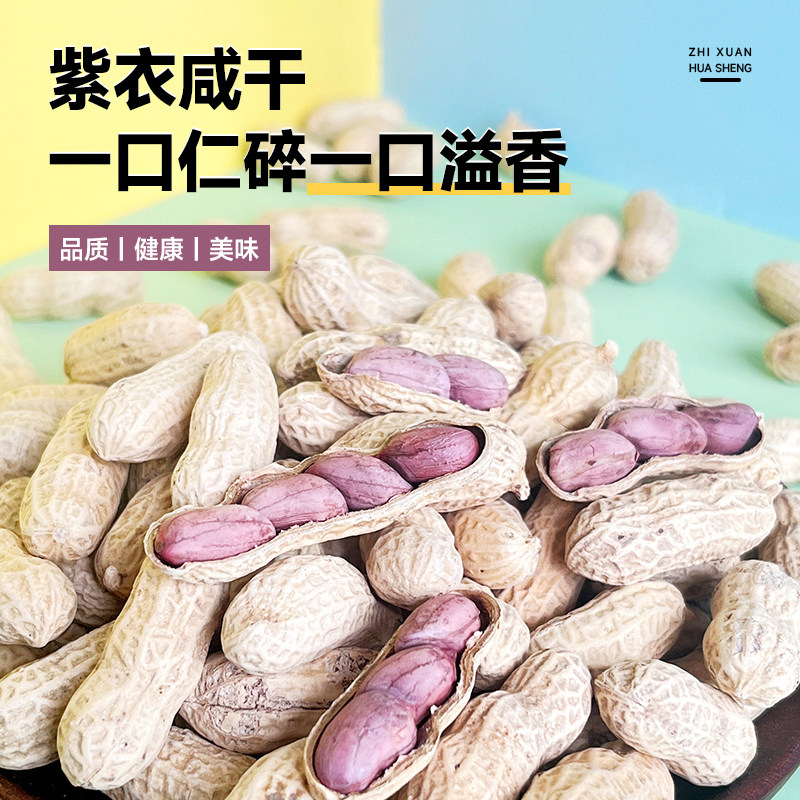 500g装龙岩湿烤花生农家特产香仁美味咸干带壳熟营地聚会紫衣花生