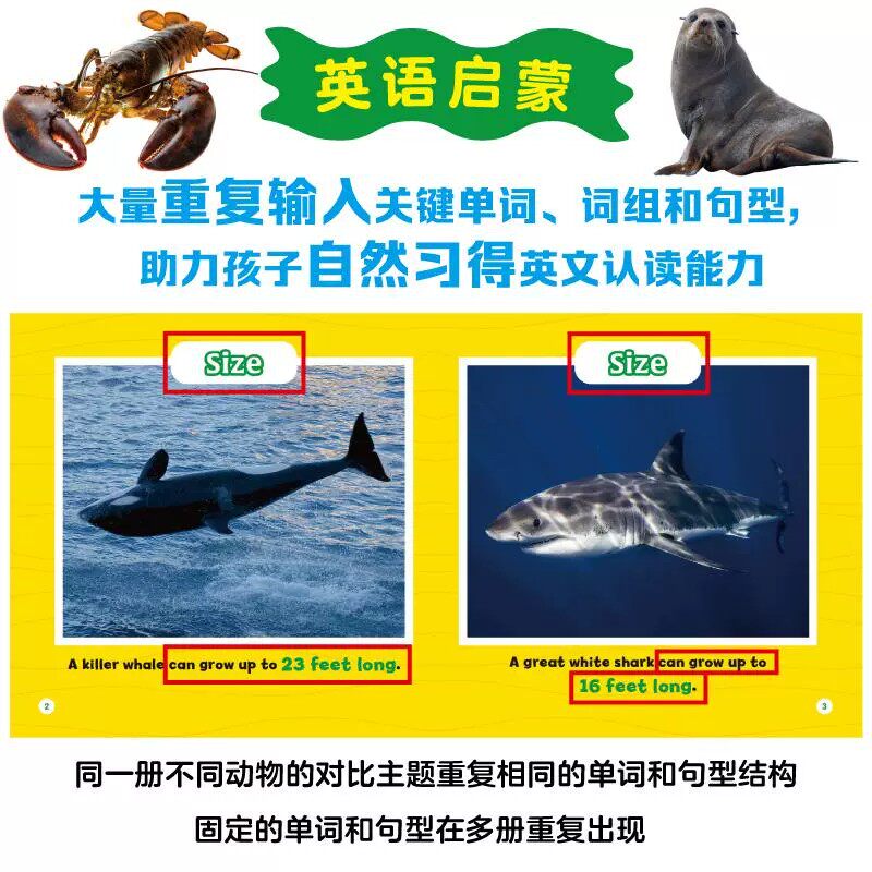 Guess Who Wins 猜猜谁会赢全24册 美国国家地理 4-9岁早教启蒙点读亲子共读 赠双语音频 英语启蒙趣味科普 幼儿早教 少儿英语