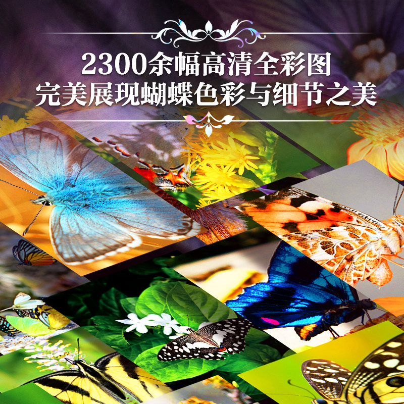 【正版新书】世界蝴蝶全书刷边版 800多种珍奇蝴蝶 蝴蝶百科全书科普书籍 野外蝴蝶品种分类科普读物鉴赏 有书至美