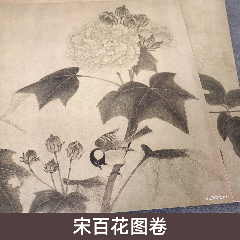 宋百花图卷历代名绘真赏系列南宋故宫花鸟画工笔画临摹鉴赏范本恽寿平百花图卷白描没骨画谱线描国画基础教材初学者美术入门书籍-图1