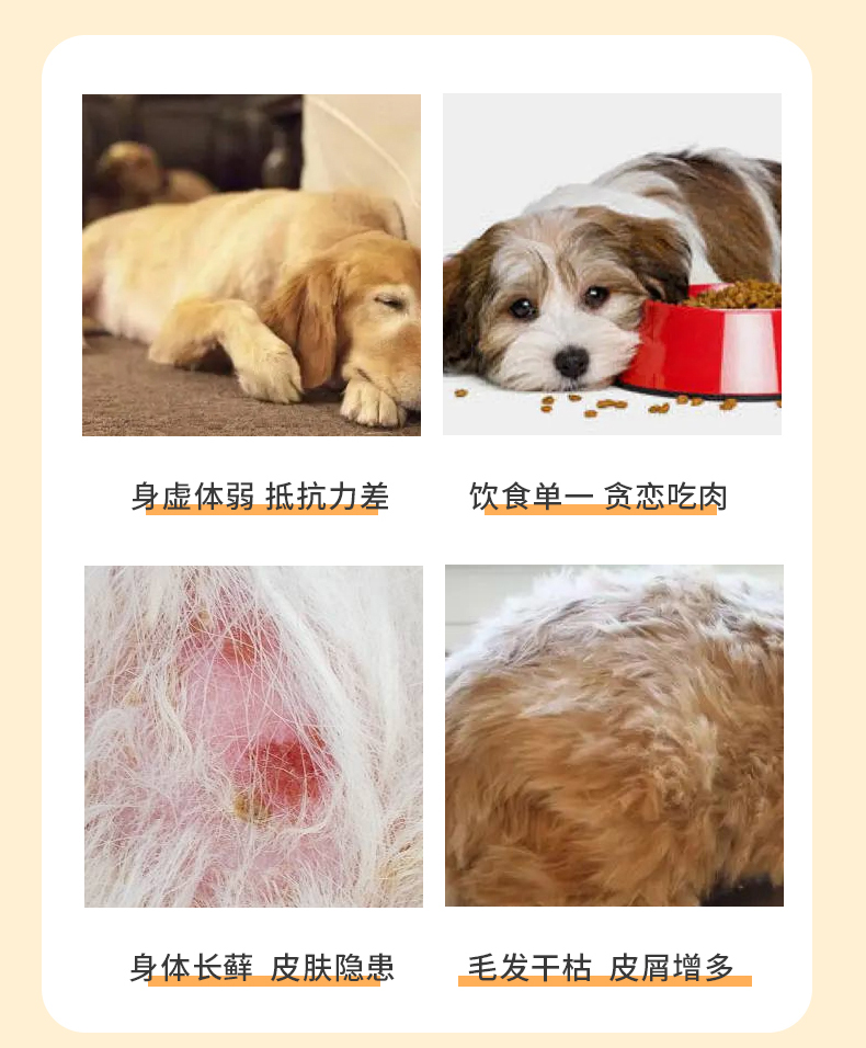 杰维士宠物复合维生素猫咪狗狗营养补充剂200片/瓶好营养微量元素 - 图0