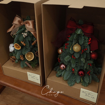 Choyo Christmas Tree Import Real Tree Nobesson Mini Home Desktop Decorations Hem 2023 New INS