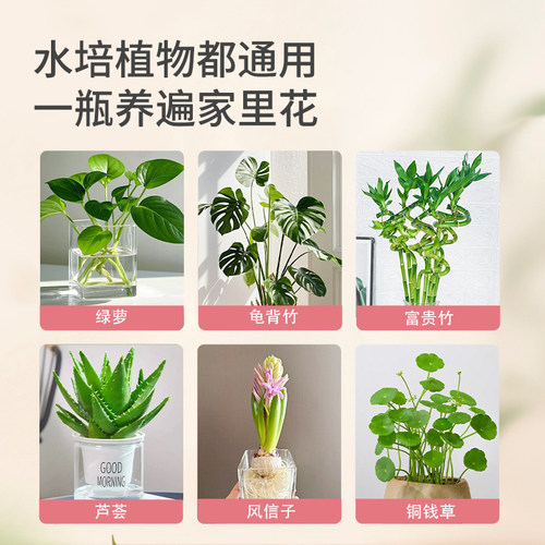 百花泉鲜花保鲜剂花卉水培植物富贵竹睡莲专用补充营养通用营养液 - 图3