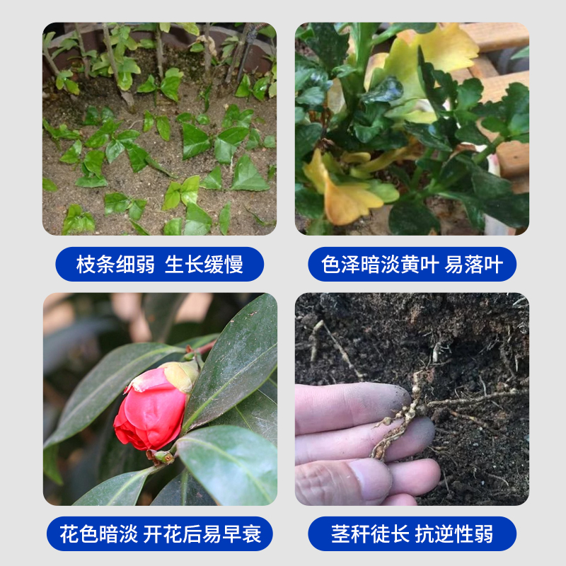 奥绿缓释肥318s颗粒肥月季绣球铁线莲盆栽植物通用型复合有机花肥-图0