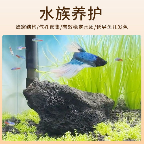 黑色天然火山石颗粒多肉铺面拌土鱼缸过滤专用底砂水族造景火山岩 - 图2