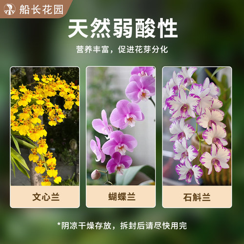文心兰专用土毛毛虫水苔蝴蝶兰石斛发酵松树皮混合植料颗粒兰花土 - 图3