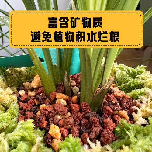 天然红火山石多肉颗粒土水草泥兰花植料铺面石鱼缸底砂滤材火山岩 - 图1