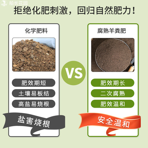 羊粪发酵有机化肥内蒙纯羊粪家庭园艺果树专用肥料种菜种花通用型 - 图0