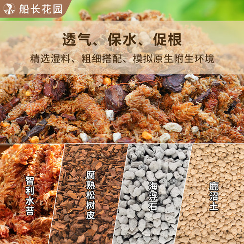 文心兰专用土毛毛虫水苔蝴蝶兰石斛发酵松树皮混合植料颗粒兰花土 - 图2