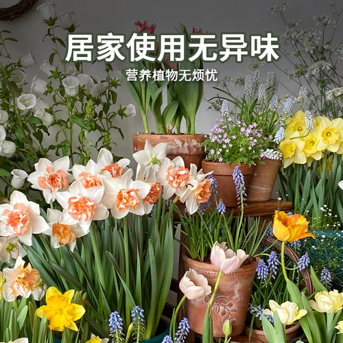 羊粪肥发酵有机肥料花卉蔬菜专用植物通用内蒙古腐熟纯羊粪蛋颗粒 - 图2
