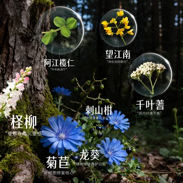 Himalaya！印度进口植物草本护肝片60粒*2瓶[41元优惠券]-寻折猪