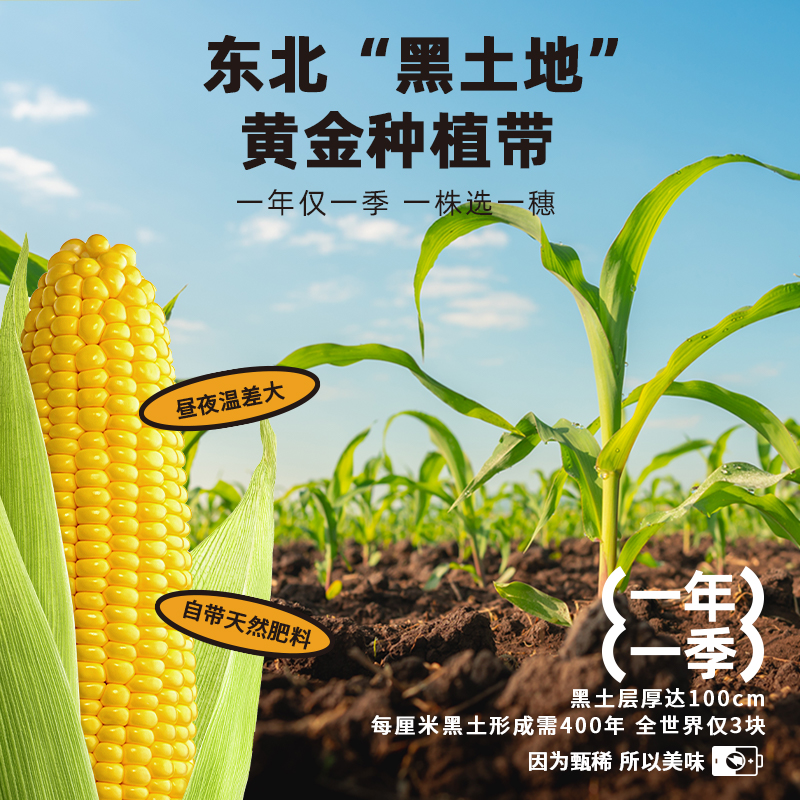 花禾恬糯玉米220g*10根組合非轉基因白黃黑玉米東北粗糧代餐玉米_花禾恬旗艦店_水產肉類/新鮮蔬果/熟食