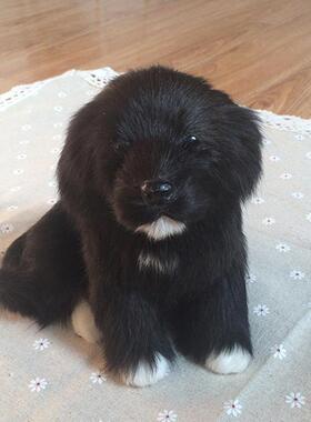 仿真狗模型玩具家居摆件拉布拉多皮毛工艺品小黑狗儿童玩偶