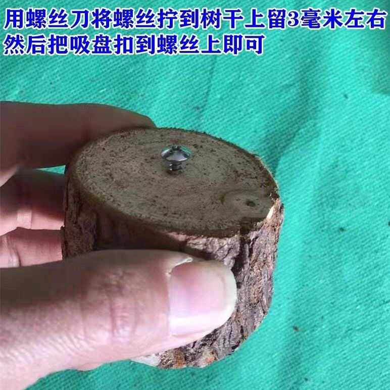 鱼缸造景沉木专用固定吸盘香槟木杜鹃根固定带螺丝吸盘,淘宝优惠券,粉丝福利购,淘宝优惠卷