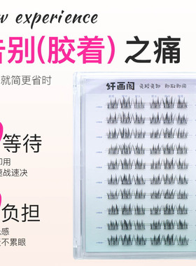 免胶无梗大花卷睫毛分段式