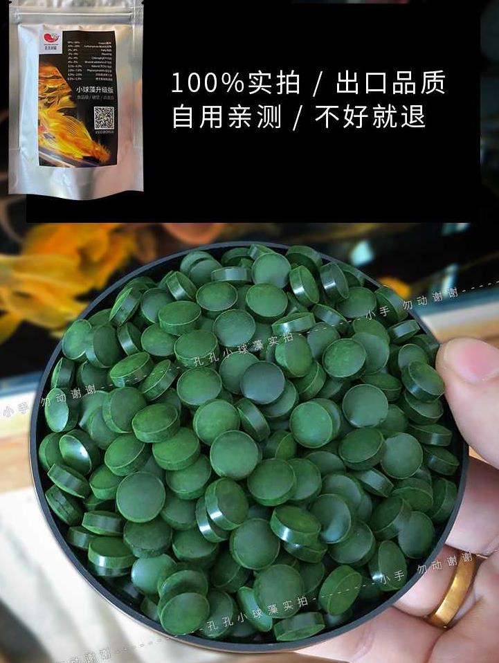 小球藻鱼食藻片胡子大帆异形鱼饲料底栖虾粮熊猫迷宫鼠鱼苗开口粮 - 图1