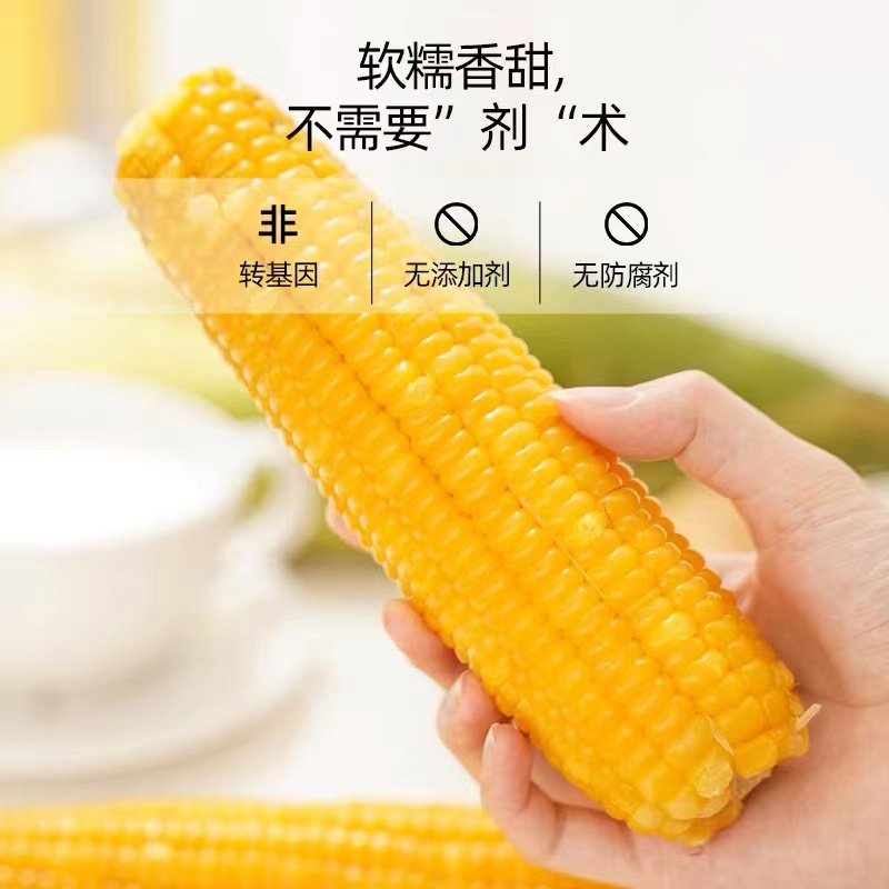东北糯玉米甜糯黄玉米真空包装2025新粘糯玉米大棒黏苞米早餐代餐