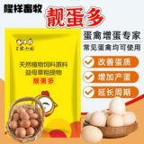 Курица откладывает больше яиц, чтобы устранить фальтопианит и разбить яйца, песочные раковины, яйца, кур, утки и гусные яйца, яйцо откладывает, много красивых яиц