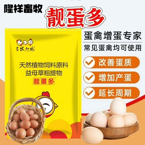 Курица откладывает больше яиц, чтобы устранить фальтопианит и разбить яйца, песочные раковины, яйца, кур, утки и гусные яйца, яйцо откладывает, много красивых яиц