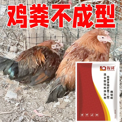 Куриный помет легко может быть пробиотиком и ферментирован травой. Куриный помет различных стилей и цветов можно использовать без остатка.