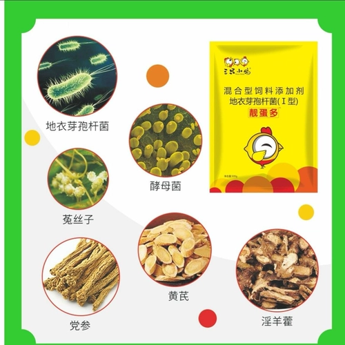 Курица откладывает больше яиц, чтобы устранить фальтопианит и разбить яйца, песочные раковины, яйца, кур, утки и гусные яйца, яйцо откладывает, много красивых яиц