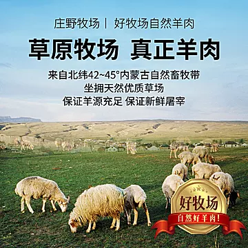 庄野牧场火锅原切羊肉肥羊卷238g*5盒[50元优惠券]-寻折猪